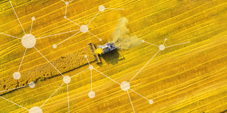 Fraunhofer IESE - Cognitive Agriculture und Smart Farming