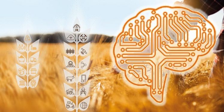 Fraunhofer IESE - Künstliche Intelligenz (KI ) und digitale Transformation in der Landwirtschaft