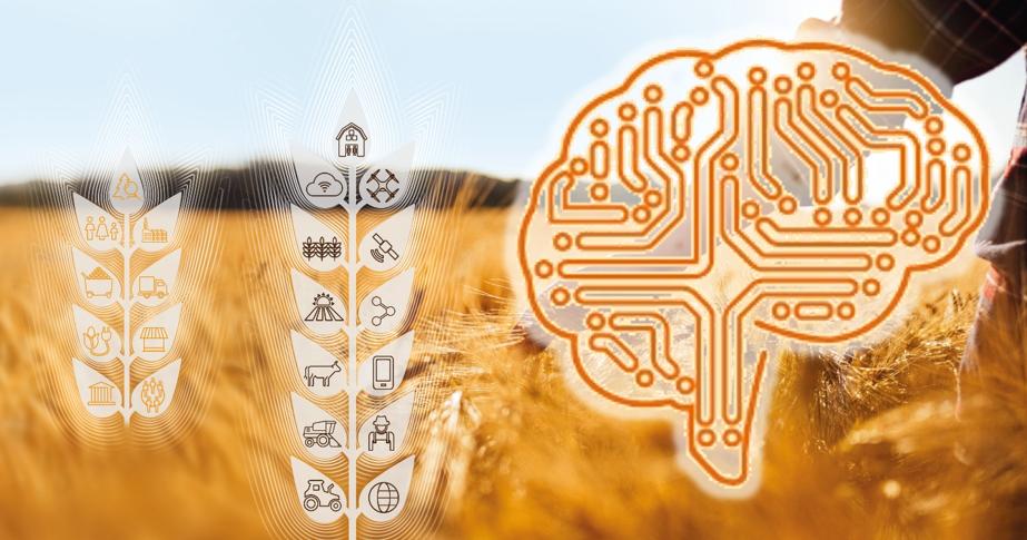 Kognitive Landwirtschaft – wo geht die Reise hin?