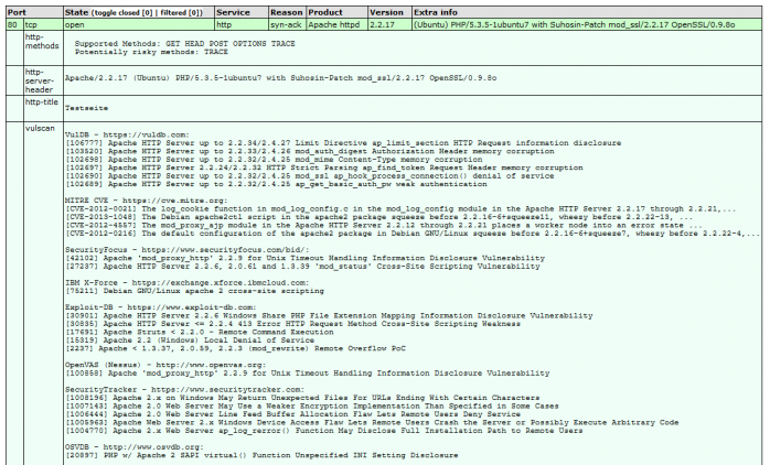 Ein Teil der gefundenen Verwundbarkeiten nach dem Scan mit Nmap