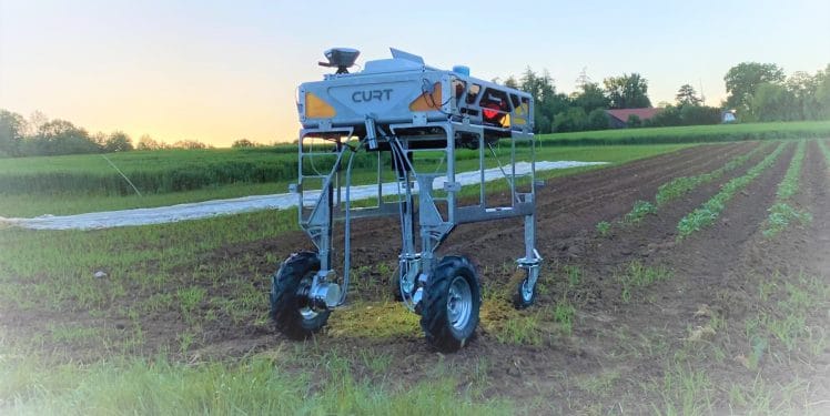 Beikrautregulierung mit Feldroboter CURT