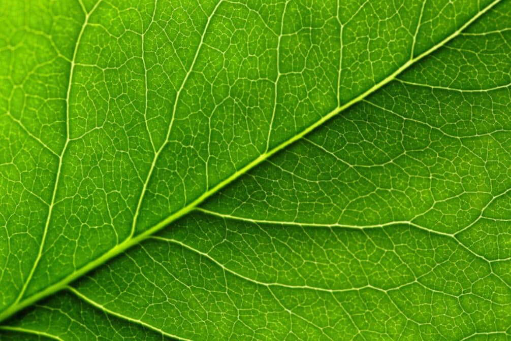 Industrie 4.0 vs. Greenwashing