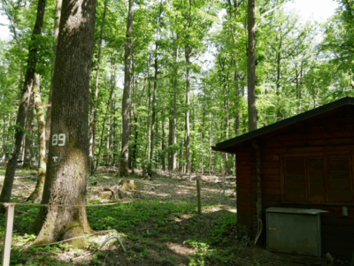 Umweltkontrollstation Merzalben im Pfälzerwald