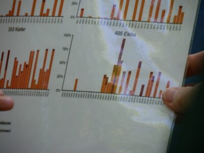 Waldmonitoring: Die Fruktifikation der Eichen über die letzten 40 Jahre