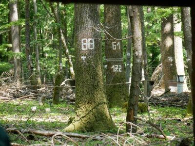 Baummarkierung zur Identifikation - Ökosystem Wald: Messung von biotischen und klimatischen Stressfaktoren