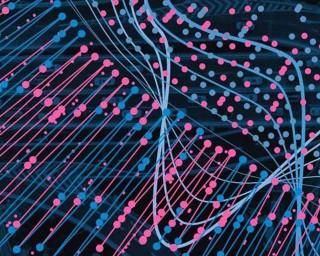Caruso GmbH Success Story, Fraunhofer IESE