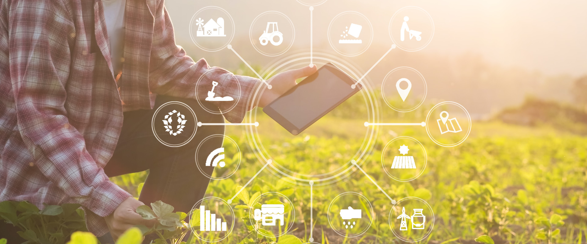Digitalisierung landwirtschaftlicher Prozesse in Steuerung von Betrieben, Fraunhofer IESE