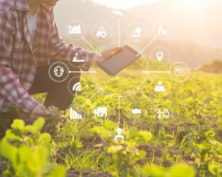 Digitalisierung landwirtschaftlicher Prozesse in Steuerung von Betrieben, Fraunhofer IESE