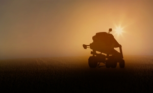 Autonomous field robotics for plant-specific field work